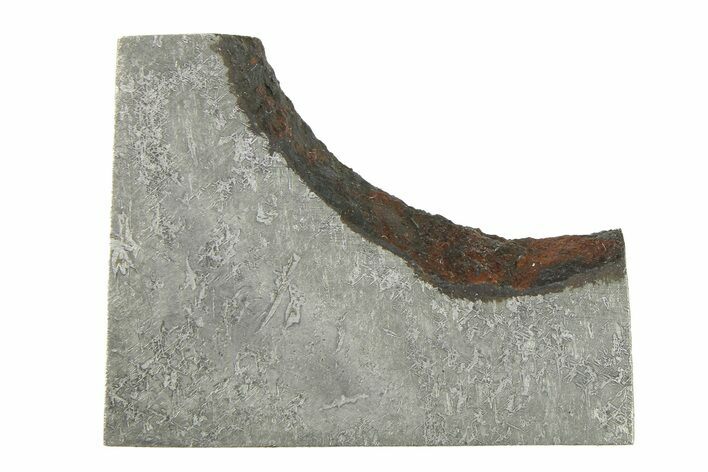 Balambala Iron Meteorite Slice ( g) - Rare IIF Iron #284601